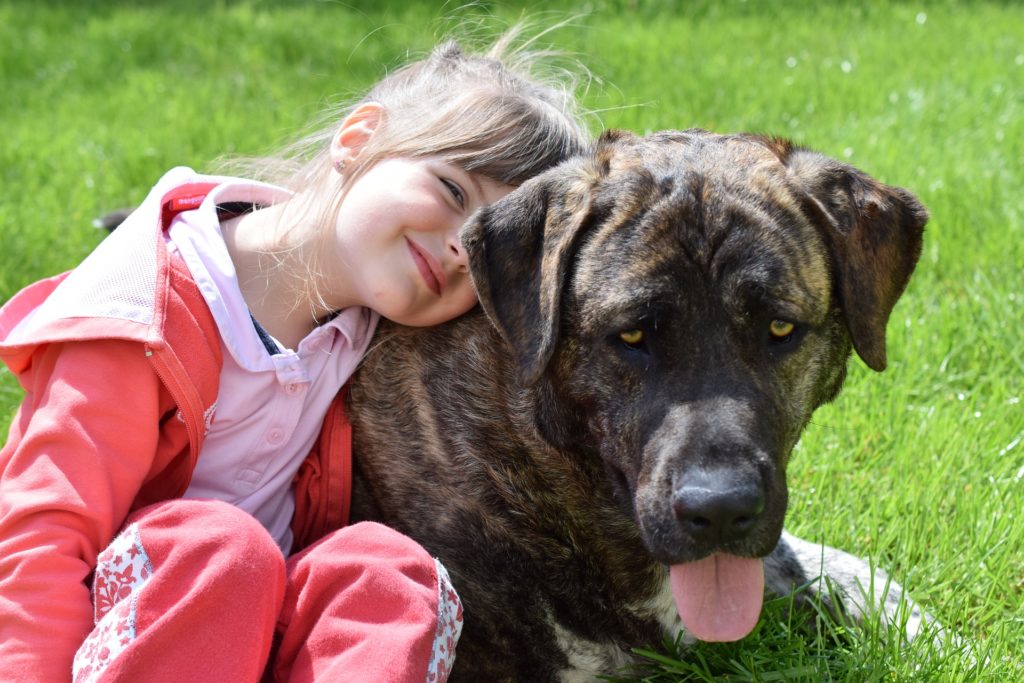 Marien Apotheke Hund und Kind Marien Apotheke Hund und Kind